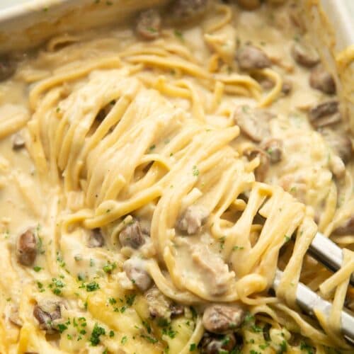 Chicken Tetrazzini with Gouda and Mushrooms